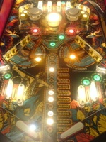 Image # 37509: Amazon Hunt III Illuminated Playfield