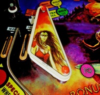 Image # 64892: Wolf Man Playfield - Detail 
(Serial number 0885.)