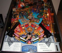 Image # 8556: Cactus Canyon Lower Playfield