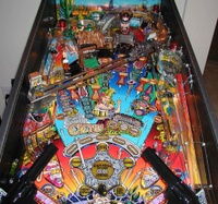 Image # 8557: Cactus Canyon Center Playfield