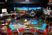 Image # 52051: Cactus Canyon Playfield - Ball View