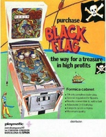 Image # 15911: Black Flag Flyer