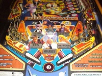 Image # 33104: Sharkey's Shootout Lower Playfield