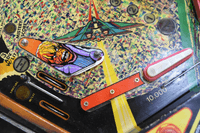Image # 76522: Fire Action De Luxe Playfield - Detail