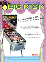 Image # 65942: Big Kick Japanese Flyer