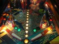 Image # 46498: Fire Action Illuminated Lower Playfield