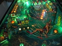 Image # 46636: Shark Illuminated Middle Playfield