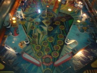 Image # 48985: Polar Explorer Lower Playfield