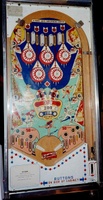 Image # 7144: Ice Show Playfield