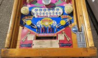 Image # 75308: Champion Lower Playfield 
(Serial number 45827.)