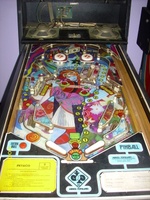 Image # 38715: Petaco Playfield