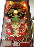 Image # 67478: Chance Illuminated Playfield