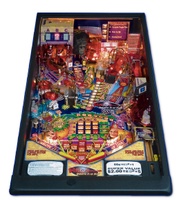 Image # 19544: Ripley's Believe It or Not!� Playfield
