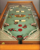 Image # 74961: Electric Hockey Playfield