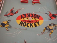 Image # 52095: Electric Hockey Center Playfield