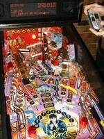 Image # 21644: Elvis� Prototype - Playfield