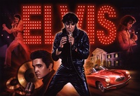 Image # 29866: Elvis� Original Painting for Backglass 
(Acrylic paint on canvas board, 30 inches by 40 inches.  By Jerry Vanderstelt.)