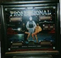 Image # 22334: Professional Pinball: Challenger V Backglass