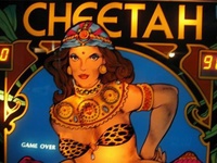 Image # 39700: Cheetah Illuminated Backglass - Detail