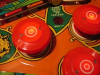 Image # 39707: Cheetah Playfield - Detail