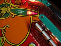 Image # 39712: Cheetah Playfield - Detail