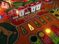 Image # 39713: Cheetah Playfield - Detail