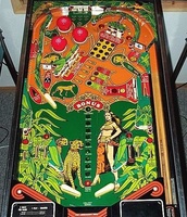 Image # 12948: Cheetah Playfield