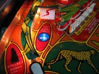 Image # 39714: Cheetah Playfield - Detail