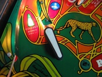 Image # 39715: Cheetah Playfield - Detail