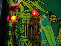 Image # 39716: Cheetah Playfield - Detail