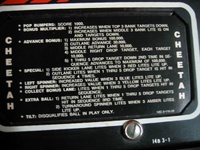 Image # 39718: Cheetah Instruction Card