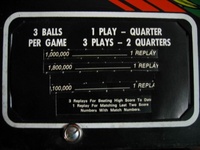 Image # 39719: Cheetah Score Card