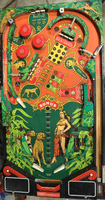 Image # 75702: Cheetah Playfield