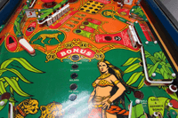 Image # 75706: Cheetah Early Production Middle Playfield