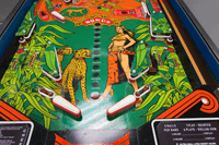 Image # 75707: Cheetah Early Production Lower Playfield