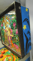 Image # 75708: Cheetah Early Production Backbox - Right