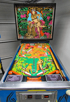 Image # 75712: Cheetah Early Production Cabinet - Front View