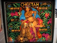 Image # 39699: Cheetah Illuminated Backglass