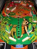 Image # 39702: Cheetah Playfield