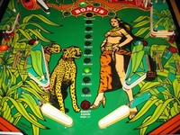 Image # 39703: Cheetah Lower Playfield