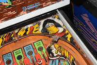 Image # 76675: Sultan Playfield - Detail