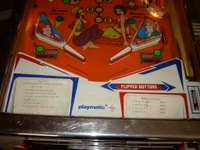 Image # 37612: Harem Lower Playfield