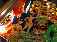 Image # 56656: Chinatown Illuminated Lower Playfield