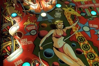 Image # 12861: Circus Lower Left Playfield Detail