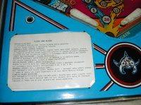 Image # 38569: Flesh And Blood Instruction Card