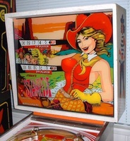 Image # 25120: Stampede Backglass