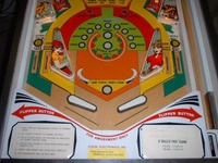 Image # 25125: Stampede Lower Playfield