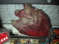 Image # 31743: Class of 1812 Mechanical Beating Heart