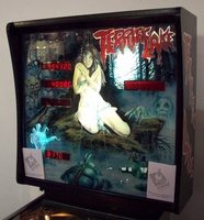 Image # 37301: Terrific Lake Illuminated Backglass