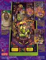 Image # 55681: Shrek� Flyer - Back